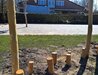 Robinia Stappaaltjes met Touw Openbaar - Element 4