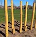 Robinia Stelten Openbaar 5 Stuks - Element 3