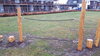 Robinia Looptouw Openbaar  - Element 7