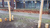 Robinia Loopladder met Touw Openbaar  - Element 8