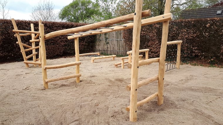 Robinia Hangrek in het zand