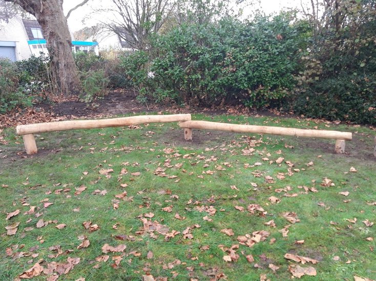 sfeerfoto zijkant van de Robinia Balanceerbalk &#039;Beaver&#039; Duo