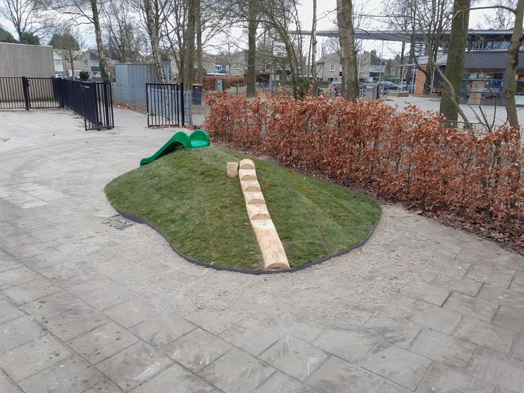 Robinia Evenwichtsbalk Schuin met treden Openbaar