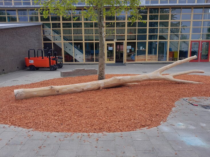 sfeerfoto van de zijkant van de Robinia Speelboom Openbaar