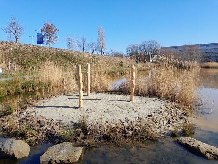 klimpalen robinia op eiland