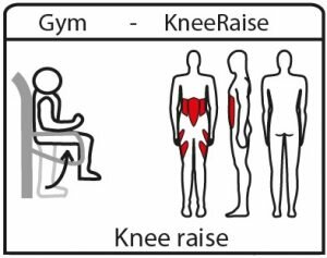 Robinia fitnesstoestel KneeRaise uitleg
