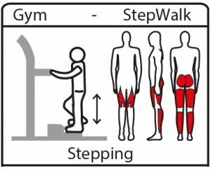Uitleg StepWalk oefening