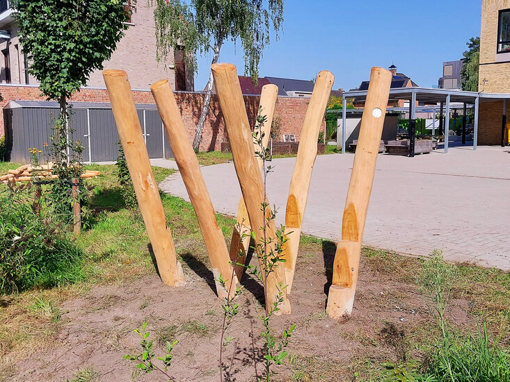 robinia hout palen kopen stelten openbaar gebruik schuin