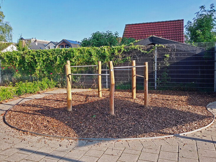 Robinia Duikelrek zeskant professioneel Openbaar basisschool