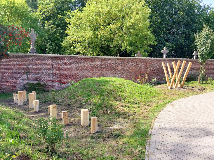 Robinia Stappaaltjes 12 stuks Openbaar gekeurd