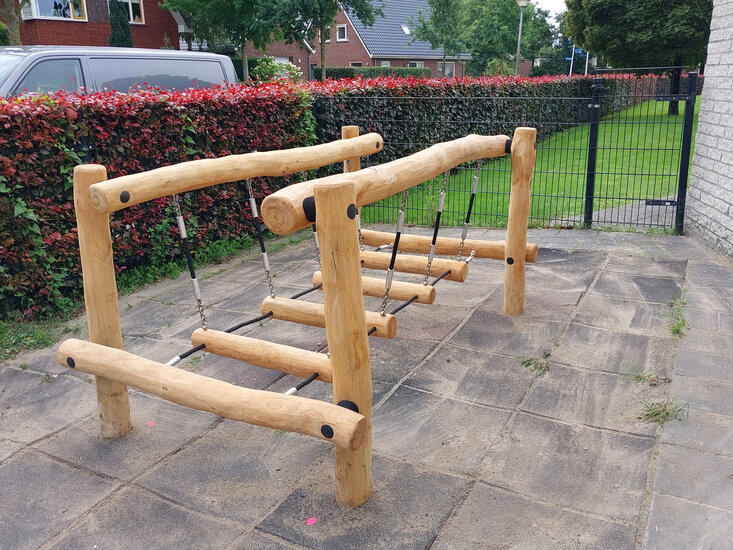 Robinia Boomstam Brug met Gewapend Touw Openbaar (Serie-35)