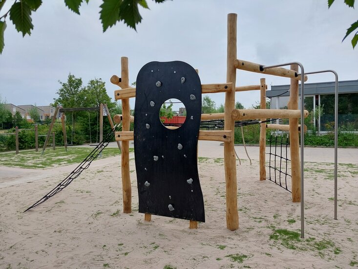 Robinia Zeshoekig Klimtoestel sfeerfoto