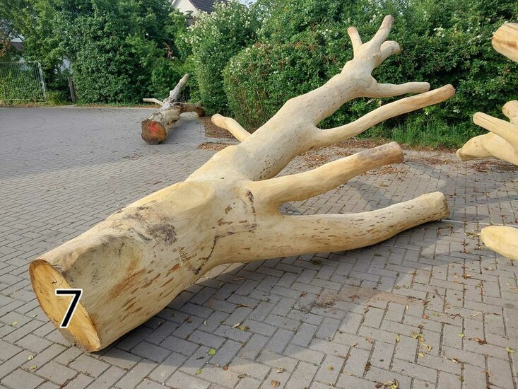 Speelboom 7