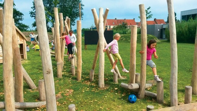 Sfeerfoto van het palenbos