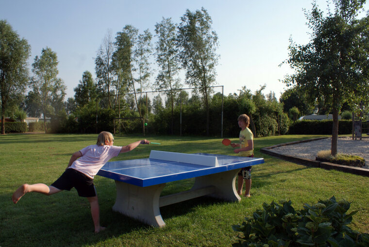 Betonnen Tafeltennistafel Blauw in een park