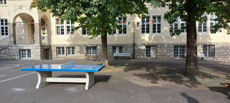 Betonnen Tafeltennistafel Blauw buiten bij bomen