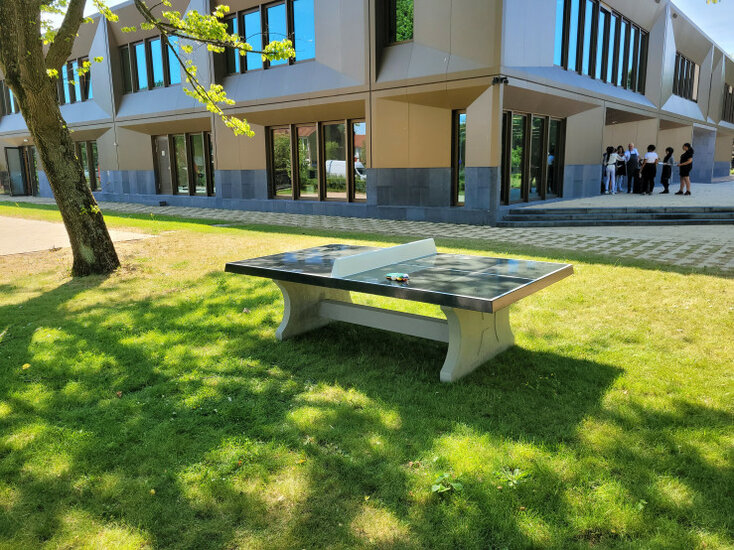 Betonnen Tafeltennistafel Groen op gras