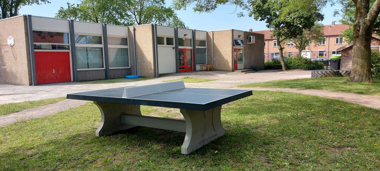 Betonnen Tafeltennistafel Antraciet op gras