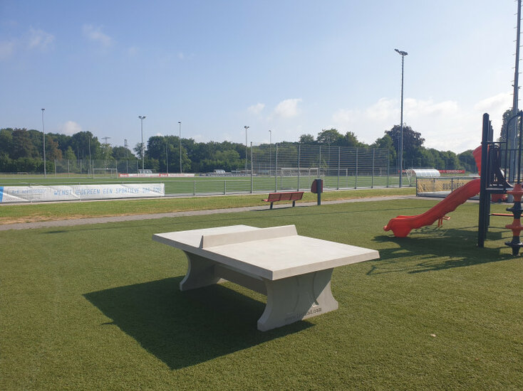 Pingpongtafel in Naturel Beton op kunstgras
