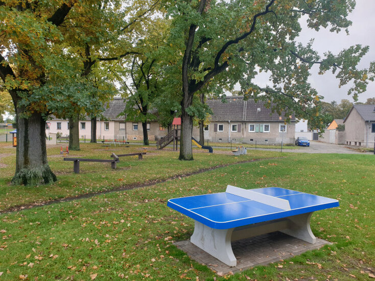 Betonnen Tafeltennistafel Afgerond Blauw in park