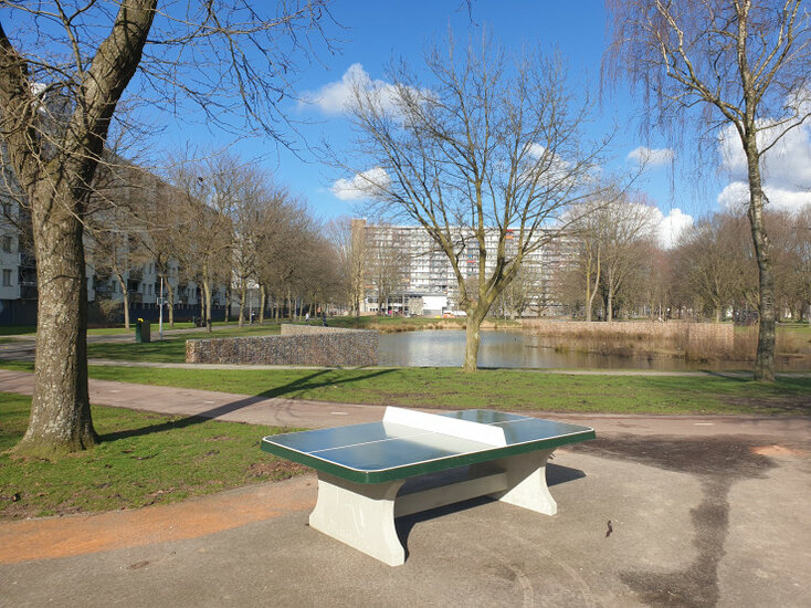 Betonnen Tafeltennistafel Groen met Afgeronde Hoeken in park