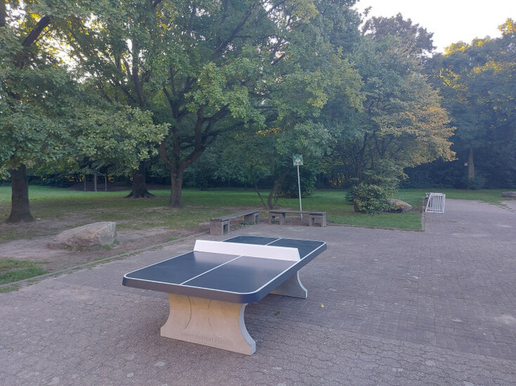 Betonnen Tafeltennistafel Antraciet met Afgeronde Hoeken bij bomen