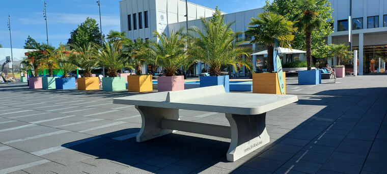 Pingpongtafel Naturel Beton met Afgeronde Hoeken tussen de palmbomen