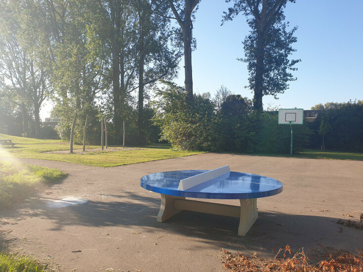Ronde Betonnen Tafeltennistafel Blauw bij basketveld