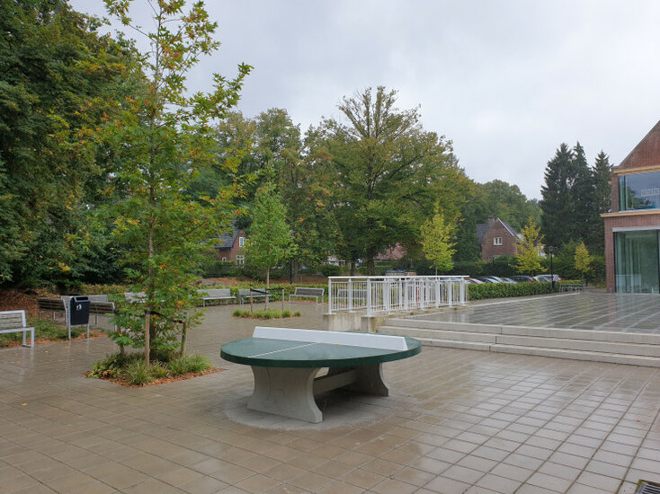 Ronde Betonnen Tafeltennistafel Groen in de regen
