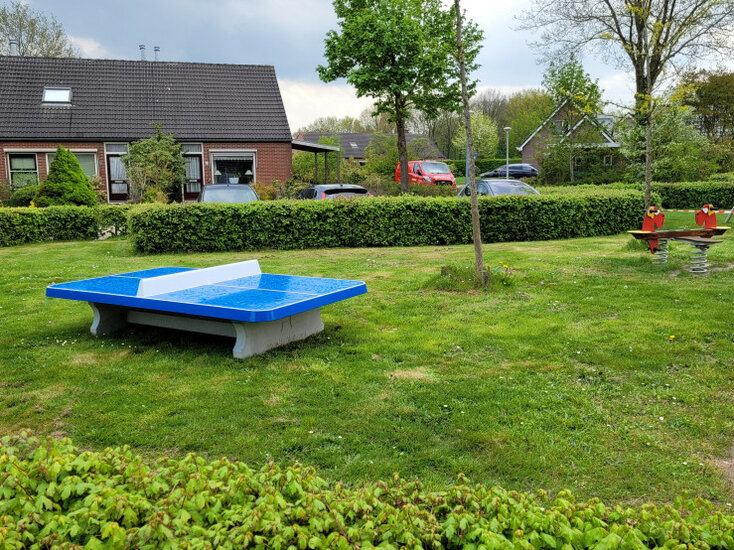 Betonnen Tafeltennistafel Blauw Laag met Afgeronde Hoeken op grasveld