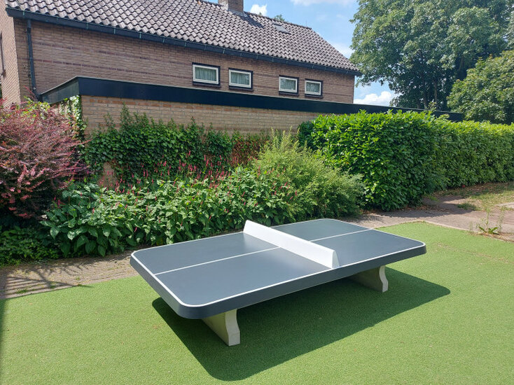 Betonnen Tafeltennistafel Antraciet Laag met Afgeronde Hoeken op kunstgras