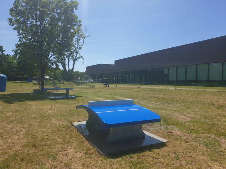 Betonnen Voetvolleybaltafel Blauw op grasveld