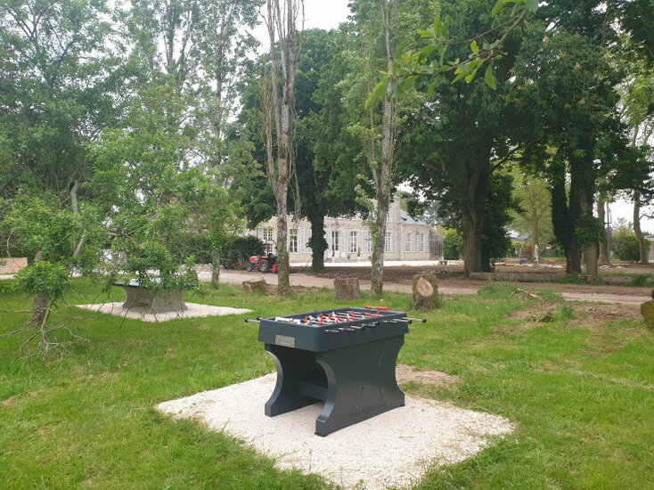 Betonnen Tafelvoetbaltafel Antraciet Gelakt in bos