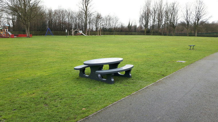 Betonnen Picknickset Standaard Ovaal Antraciet Gelakt op grasveld