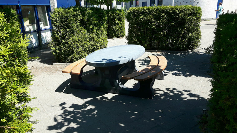 Antraciet Betonnen Picknickset DeLuxe Ovaal met Bamboe Zitvlak tussen de fauna