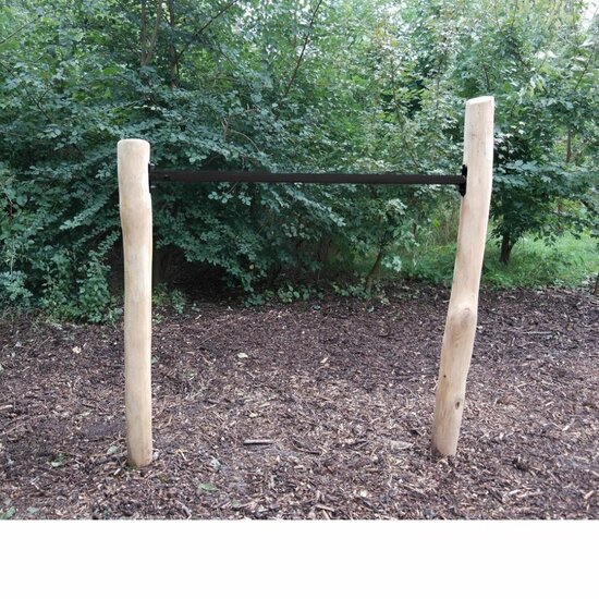 Robinia duikelrek *Mono** 90, 125 cm op maat #Basic Antraciet##