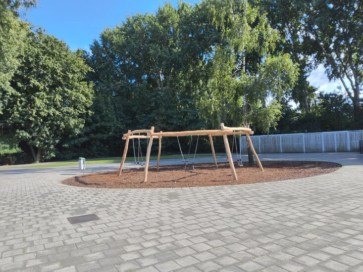 Robinia Zeskantige Schommel Openbaar