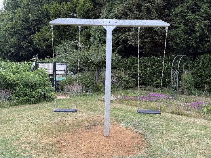 T-swing Professioneel