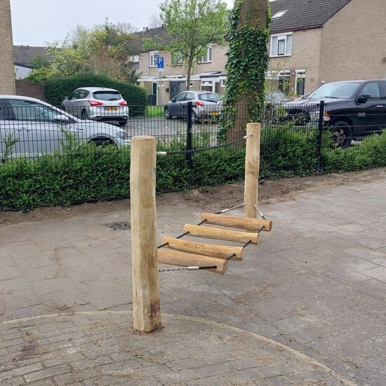 B-Play Robinia Wiebelbrug Klein met Stappalen Openbaar - Module 3B-Play Robinia Wiebelbrug Klein met Stappalen Openbaar - Modul