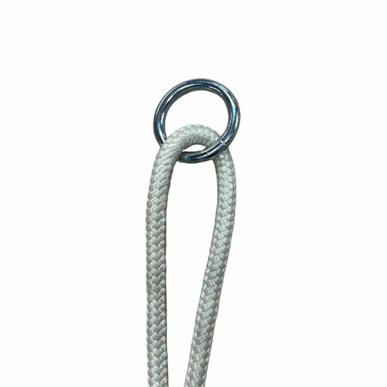 ophangring van B-Play Schommelzitje Verduurzaamd Hout 2.40 m Beige BR Touw Geschroefd