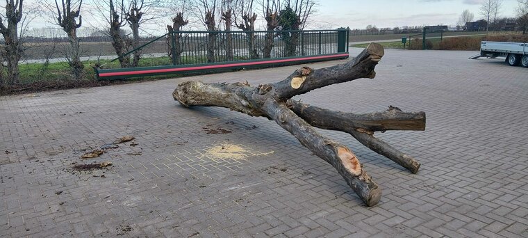 Robinia Speelboom Aanbieding