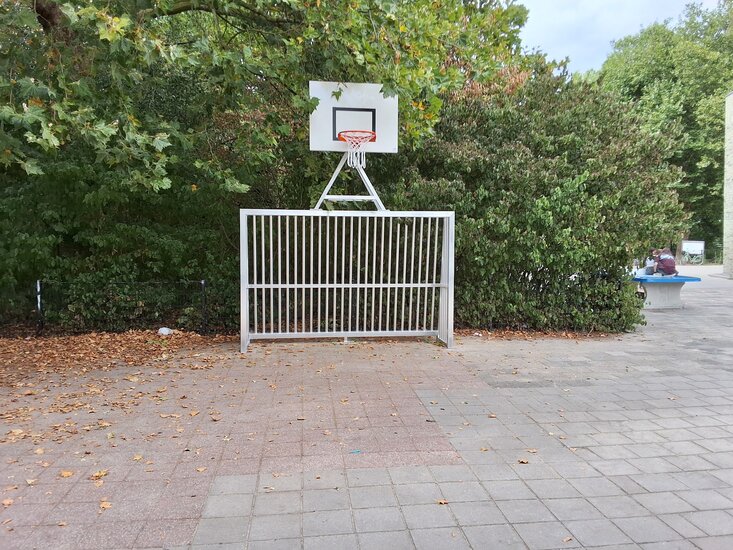 Sfeerfoto 2 Anti-Vandalen Doel met Basket Aluminium 300x200x80cm