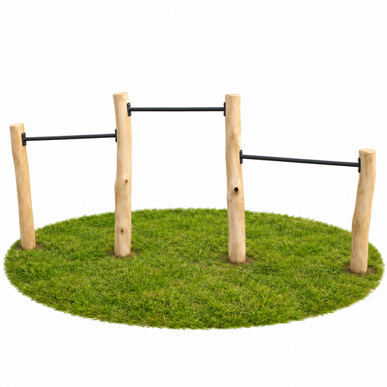 Robinia duikelstang kopen zwart