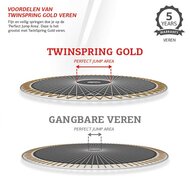 Uitleg Twinspring veer systeem