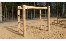  Robinia Apenbrug met RVS stangen Openbaar (Serie 35)