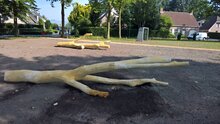 robinia hout palen kopen speelboom openbaar gebruik