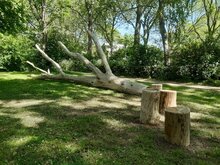 Eiken houten speelboom kopen