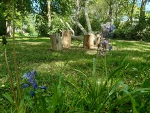 Natuurlijke speelboom 