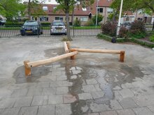 Robinia Balanceerboom Openbaar (Serie 29)