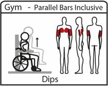 Robinia Parallel Bars Inclusive oefening